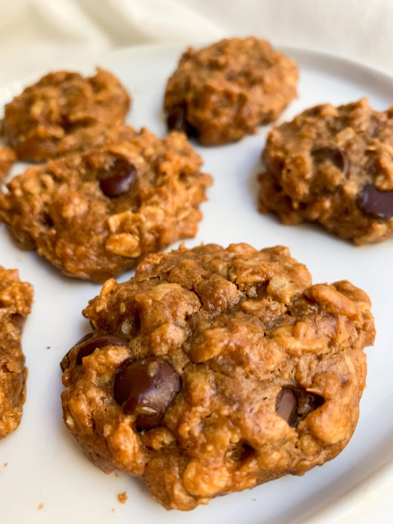 a close up shot of a plate of Peanut Butter Chocolate Chip Oatmeal Cookies