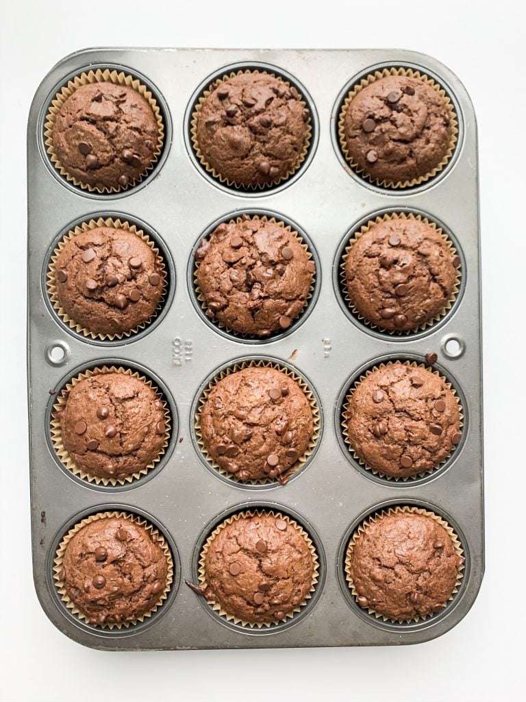 chocolate zucchini muffins still in the muffin tin