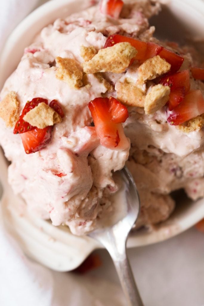 Cottage Cheese Ice Cream {3-Flavors} - FeelGoodFoodie