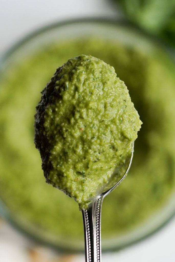 spoonful of cashew pesto without pine nuts with the bowl of the pesto blurred out behind it.