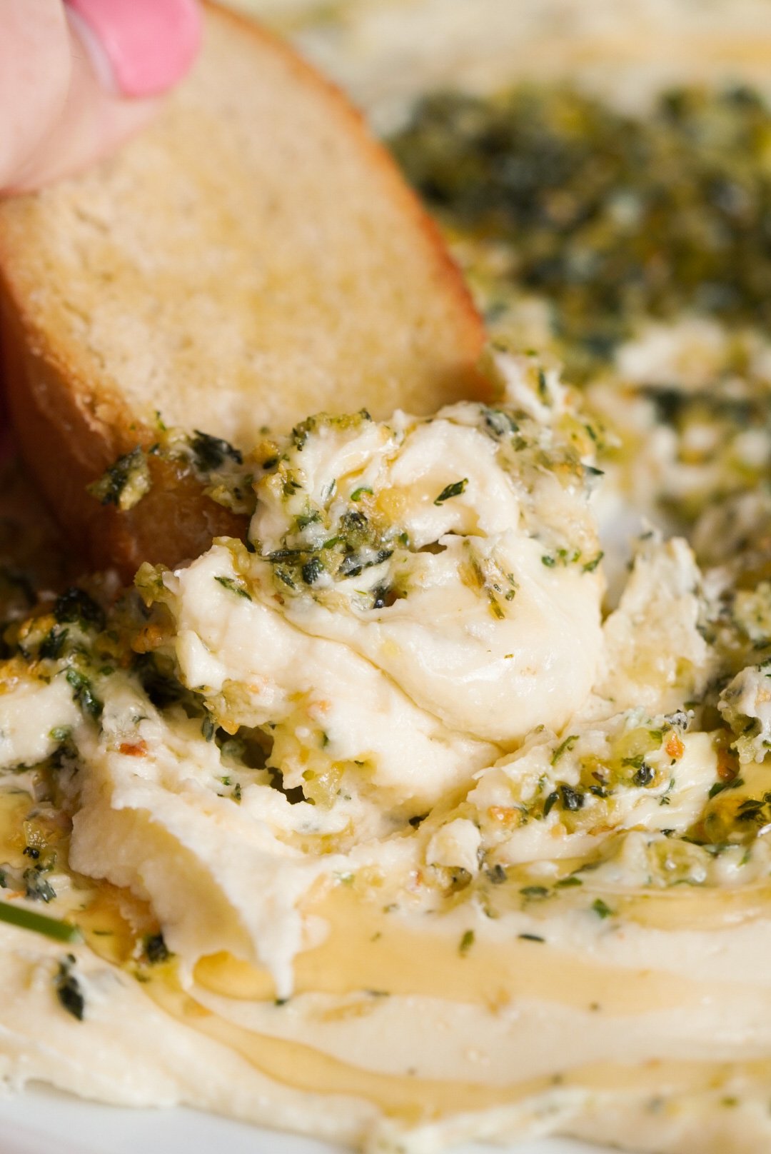 Whipped Brie Cheese Spread with Honey & Garlic Herbs Wellness by Kay