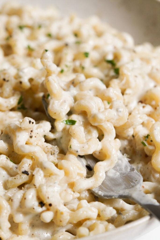 forkful of cottage cheese alfredo sauce pasta.