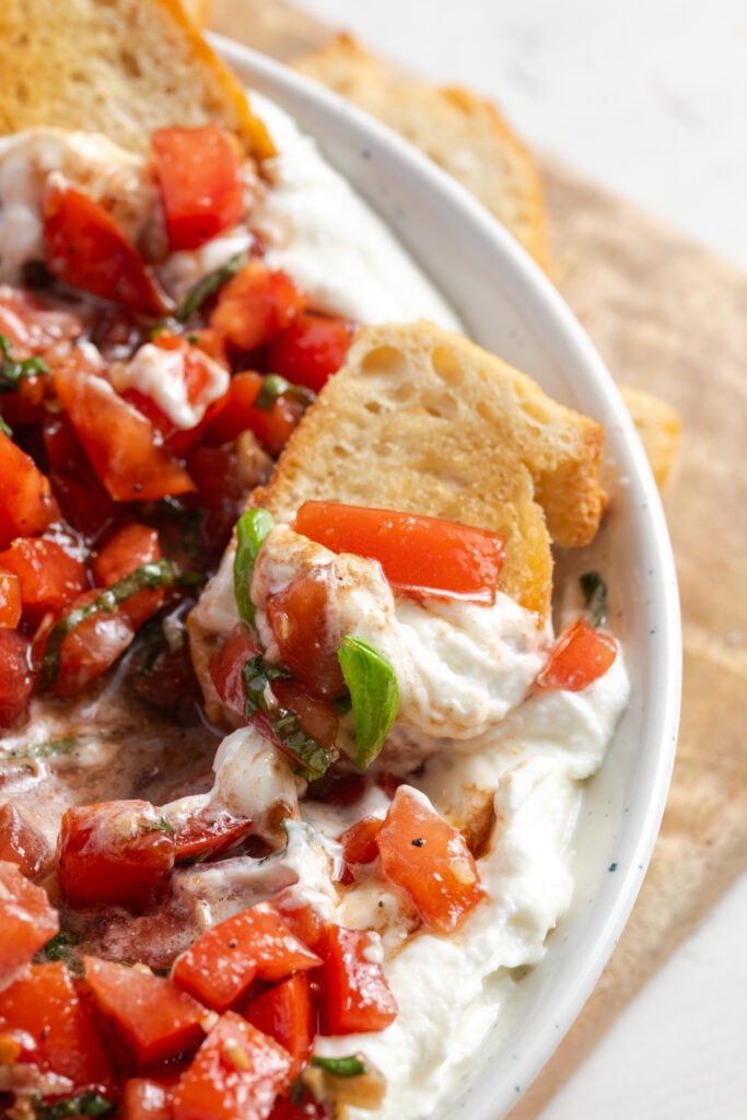 bruschetta dip on a crostini in the serving bowl, showing both the creamy whipped ricotta and the tomato topping.