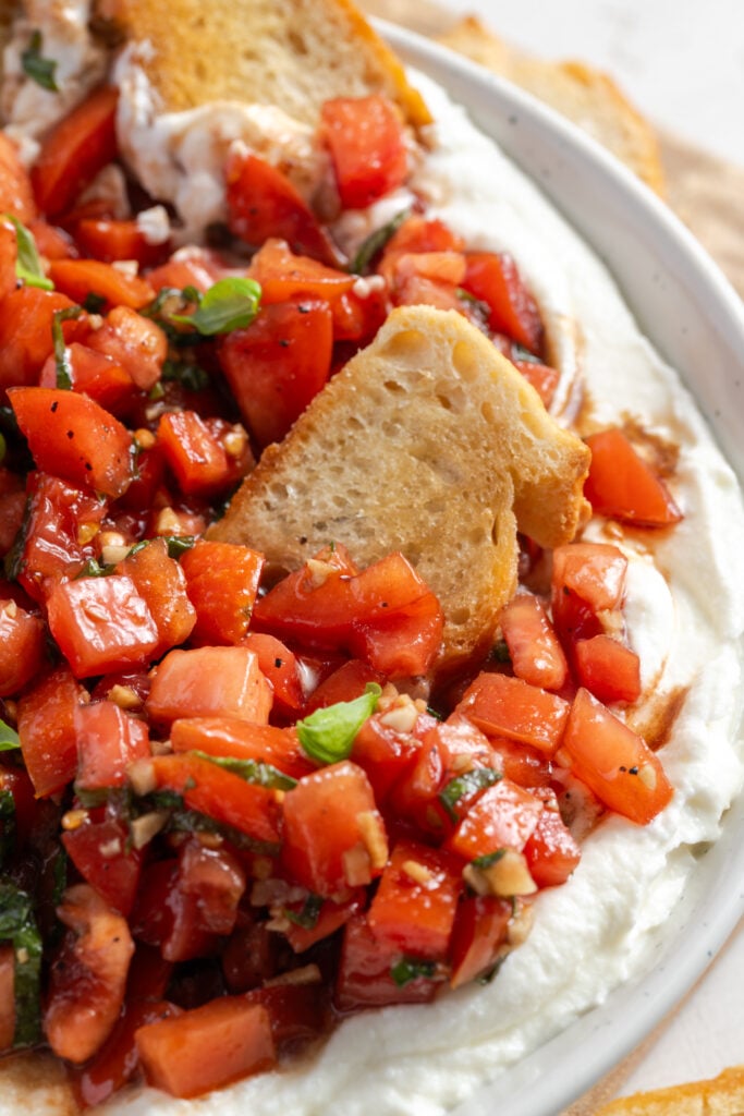 bruschetta ricotta dip with crostini poking into the bowl.