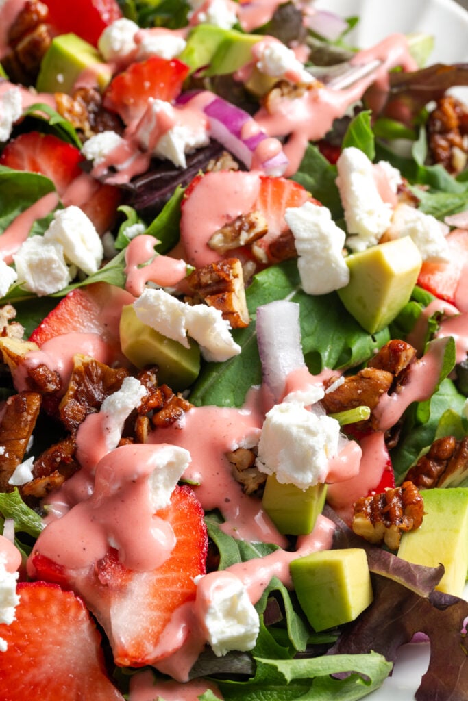 closeup shot of summer strawberry salad with goat cheese, red onions, candied pecans, avocado, and mixed greens.