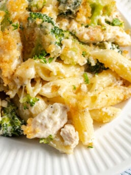 closeup shot of a serving of chicken alfredo broccoli pasta bake on a white plate showing the varying textures.